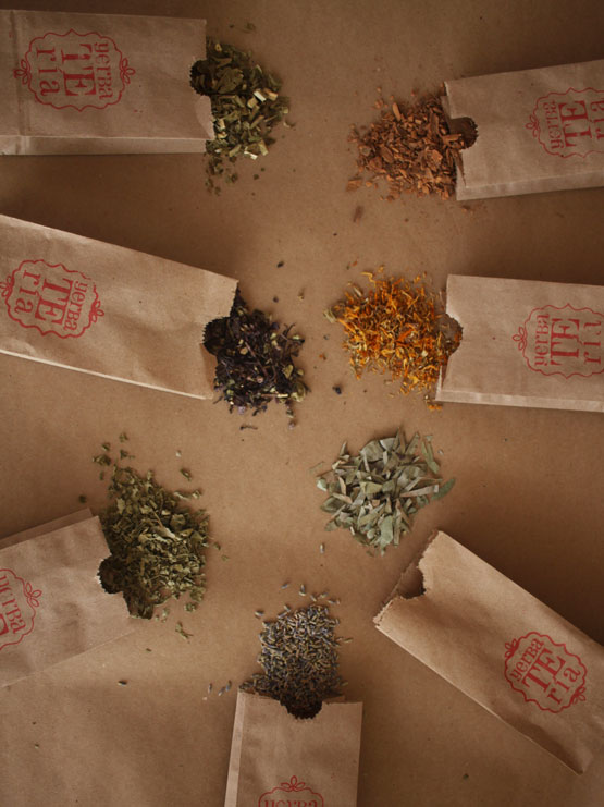 Botiquín Herbal en Casa - Imagen 3