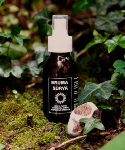 Alternative view of Bruma Sūrya