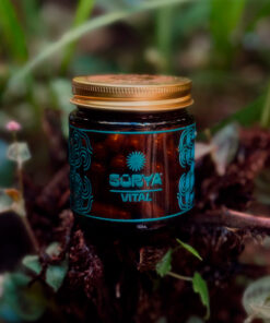 Alternative view of Kit Sūrya